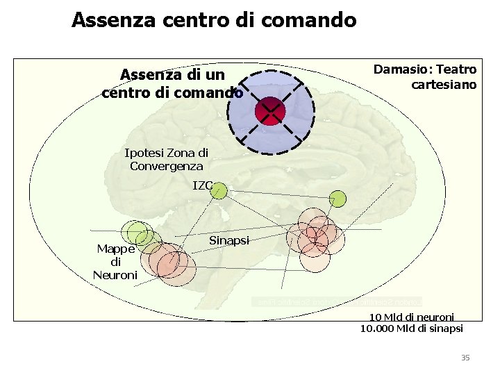 Assenza centro di comando Assenza di un centro di comando Damasio: Teatro cartesiano Ipotesi