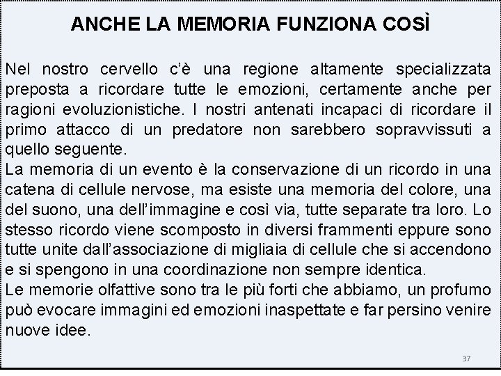 ANCHE LA MEMORIA FUNZIONA COSÌ Nel nostro cervello c’è una regione altamente specializzata preposta