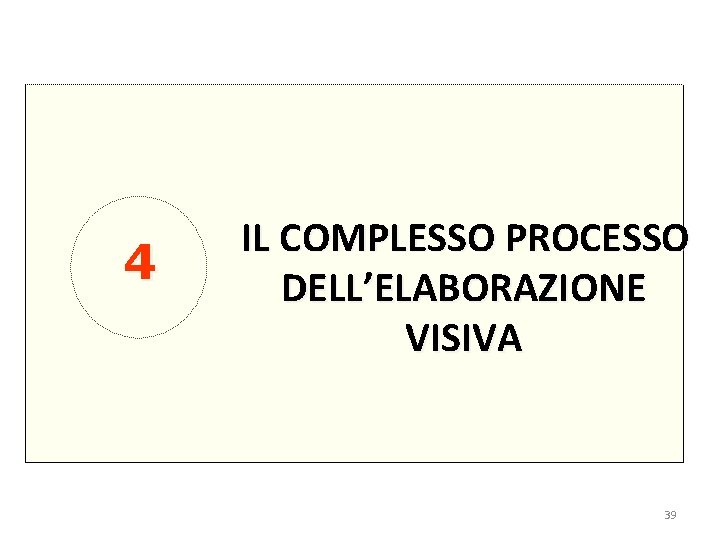 4 IL COMPLESSO PROCESSO DELL’ELABORAZIONE VISIVA 39 