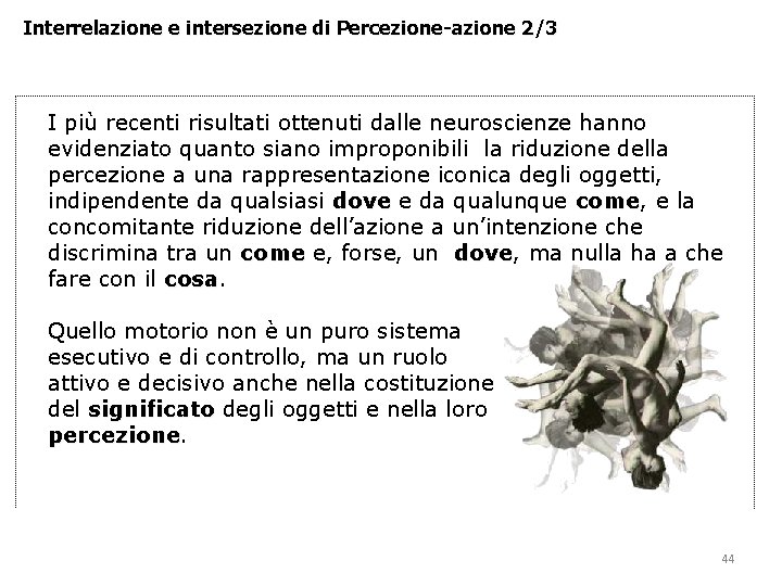 Interrelazione e intersezione di Percezione-azione 2/3 I più recenti risultati ottenuti dalle neuroscienze hanno