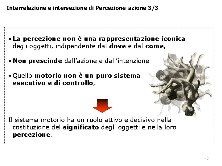 Interrelazione e intersezione di Percezione-azione 3/3 • La percezione non è una rappresentazione iconica