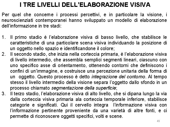 I TRE LIVELLI DELL’ELABORAZIONE VISIVA Per quel che concerne i processi percettivi, e in