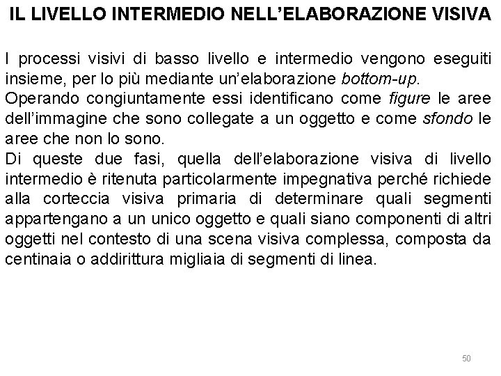 IL LIVELLO INTERMEDIO NELL’ELABORAZIONE VISIVA I processi visivi di basso livello e intermedio vengono