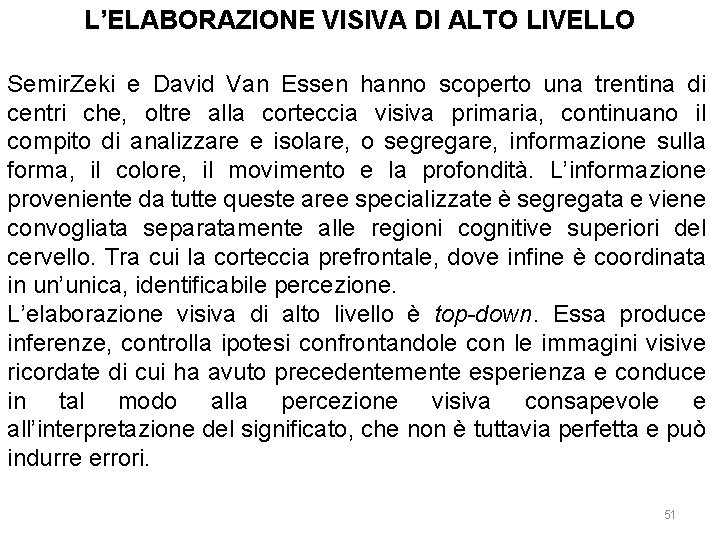 L’ELABORAZIONE VISIVA DI ALTO LIVELLO Semir. Zeki e David Van Essen hanno scoperto una