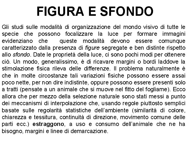 FIGURA E SFONDO Gli studi sulle modalità di organizzazione del mondo visivo di tutte