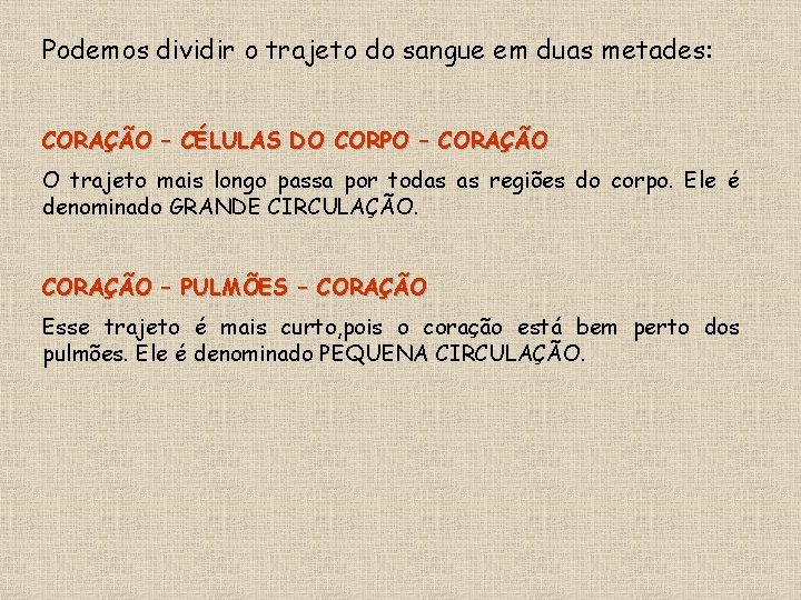 Podemos dividir o trajeto do sangue em duas metades: CORAÇÃO – CÉLULAS DO CORPO