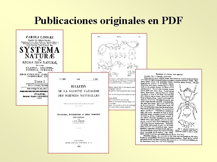 Publicaciones originales en PDF 