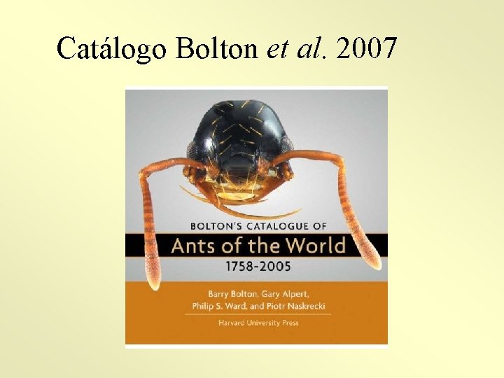 Catálogo Bolton et al. 2007 