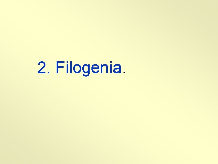 2. Filogenia. 