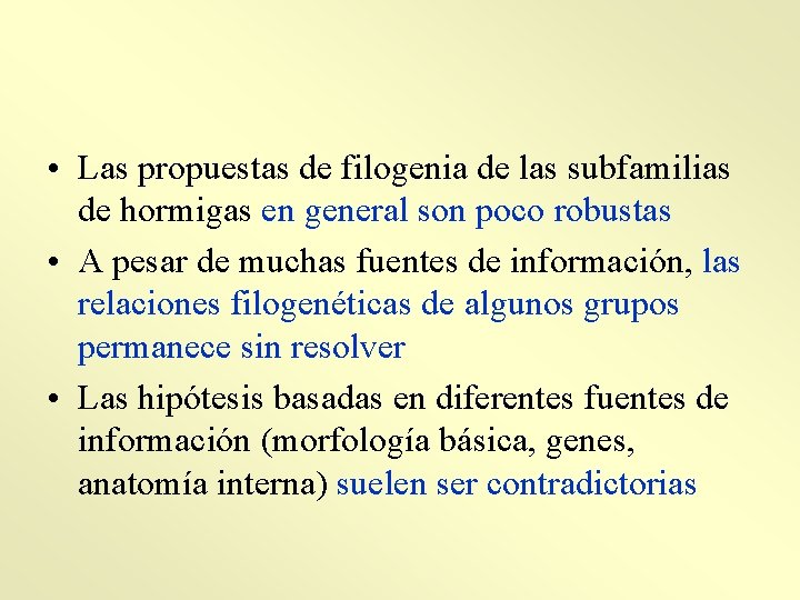  • Las propuestas de filogenia de las subfamilias de hormigas en general son