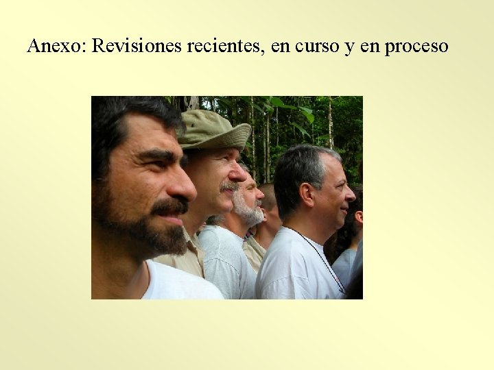 Anexo: Revisiones recientes, en curso y en proceso 