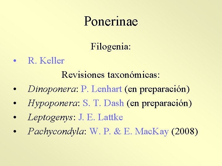 Ponerinae Filogenia: • • • R. Keller Revisiones taxonómicas: Dinoponera: P. Lenhart (en preparación)