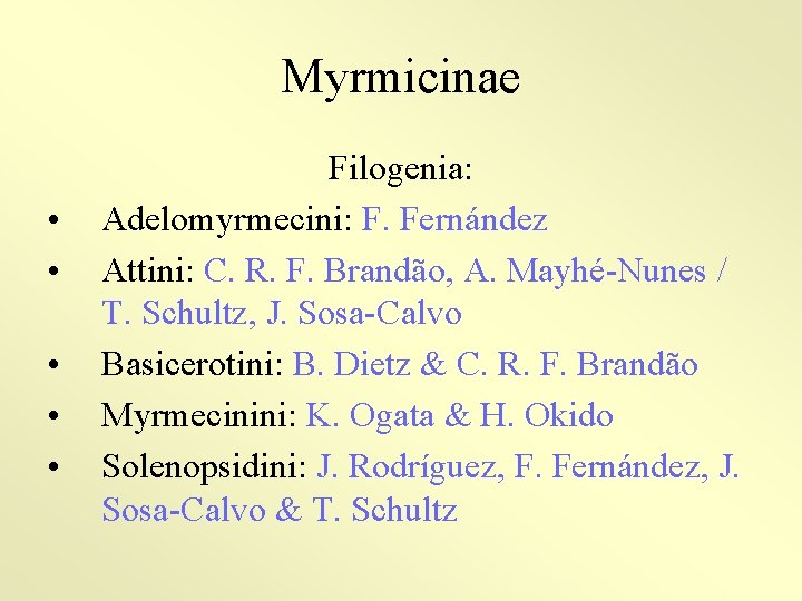 Myrmicinae • • • Filogenia: Adelomyrmecini: F. Fernández Attini: C. R. F. Brandão, A.