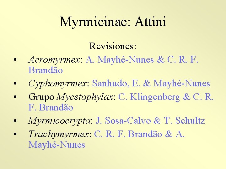Myrmicinae: Attini • • • Revisiones: Acromyrmex: A. Mayhé-Nunes & C. R. F. Brandão
