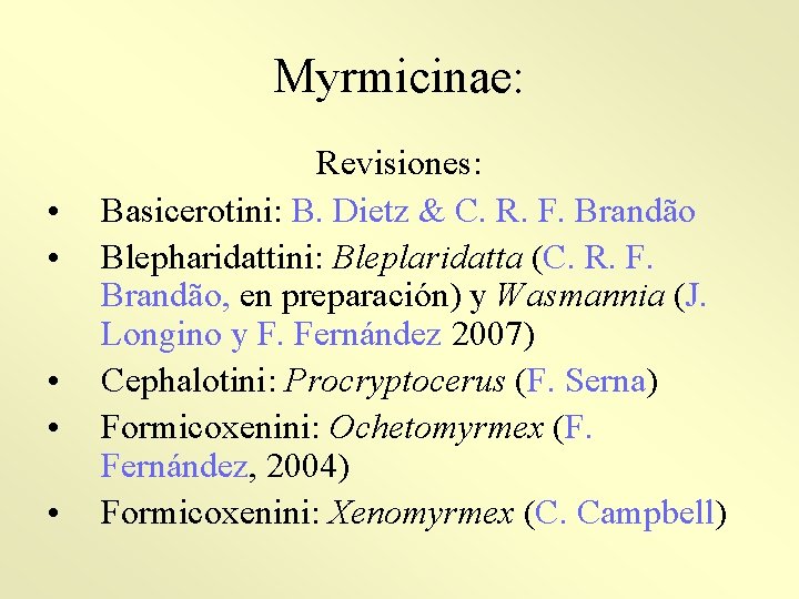 Myrmicinae: • • • Revisiones: Basicerotini: B. Dietz & C. R. F. Brandão Blepharidattini: