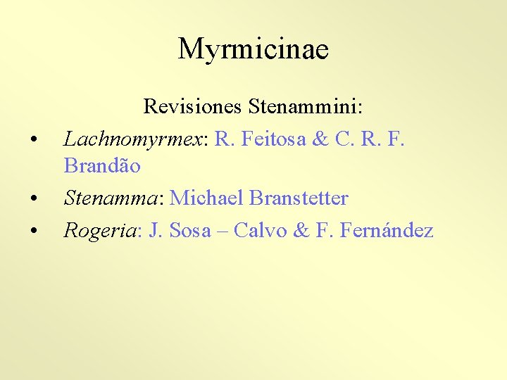 Myrmicinae • • • Revisiones Stenammini: Lachnomyrmex: R. Feitosa & C. R. F. Brandão