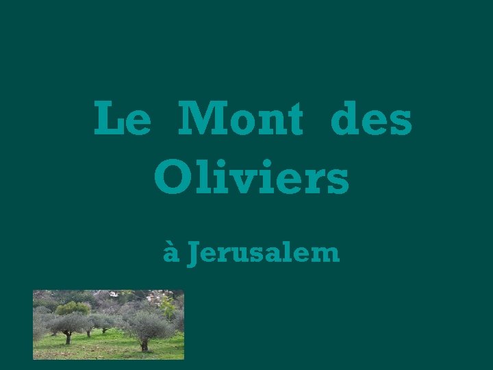 Le Mont des Oliviers à Jerusalem 