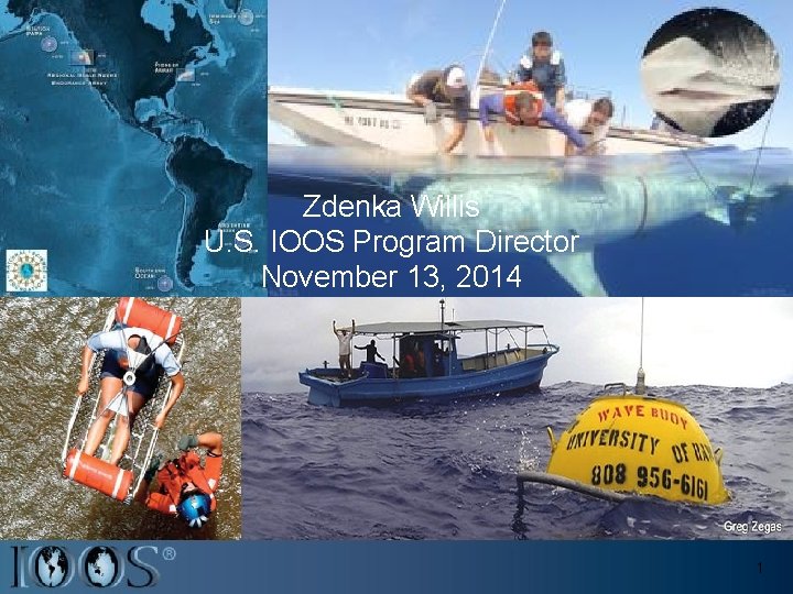 Zdenka Willis U. S. IOOS Program Director November 13, 2014 1 