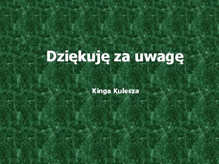 Dziękuję za uwagę Kinga Kulesza 