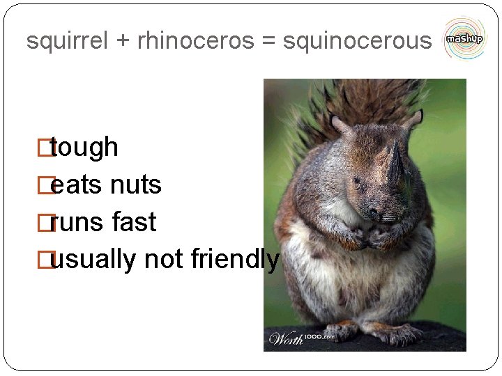 squirrel + rhinoceros = squinocerous �tough �eats nuts �runs fast �usually not friendly 