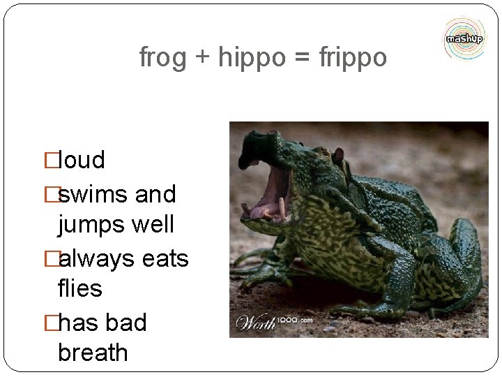 frog + hippo = frippo �loud �swims and jumps well �always eats flies �has