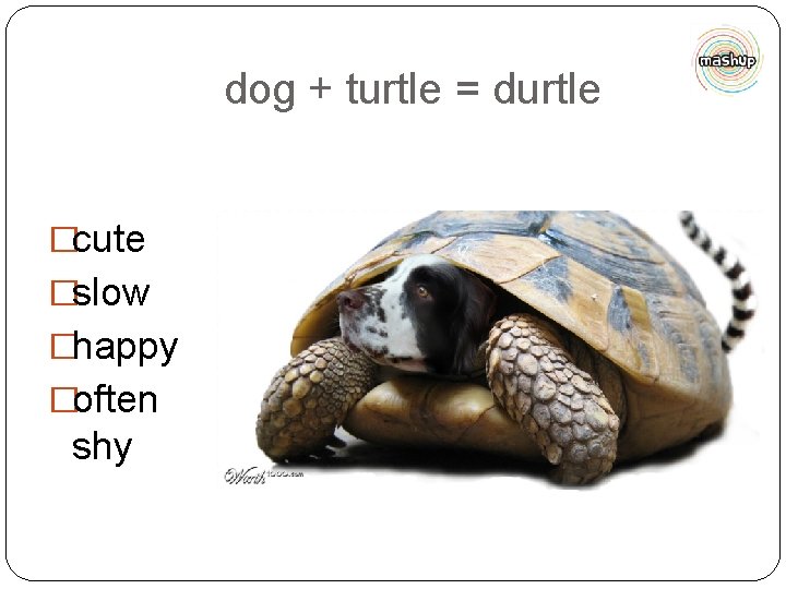 dog + turtle = durtle �cute �slow �happy �often shy 