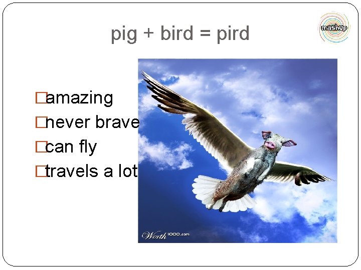 pig + bird = pird �amazing �never brave �can fly �travels a lot 