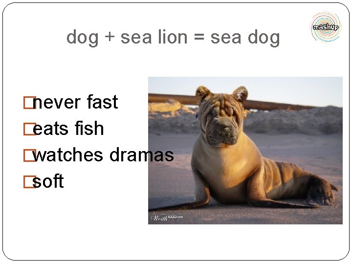 dog + sea lion = sea dog �never fast �eats fish �watches dramas �soft