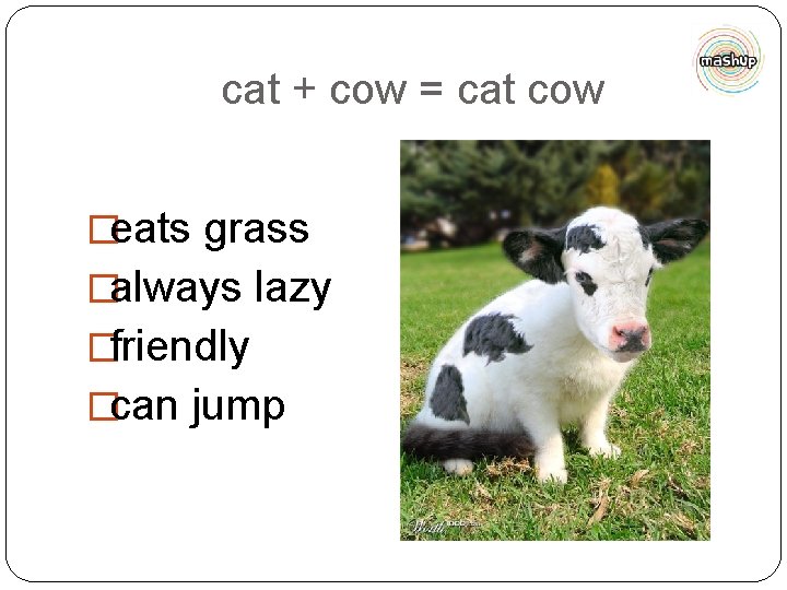 cat + cow = cat cow �eats grass �always lazy �friendly �can jump 