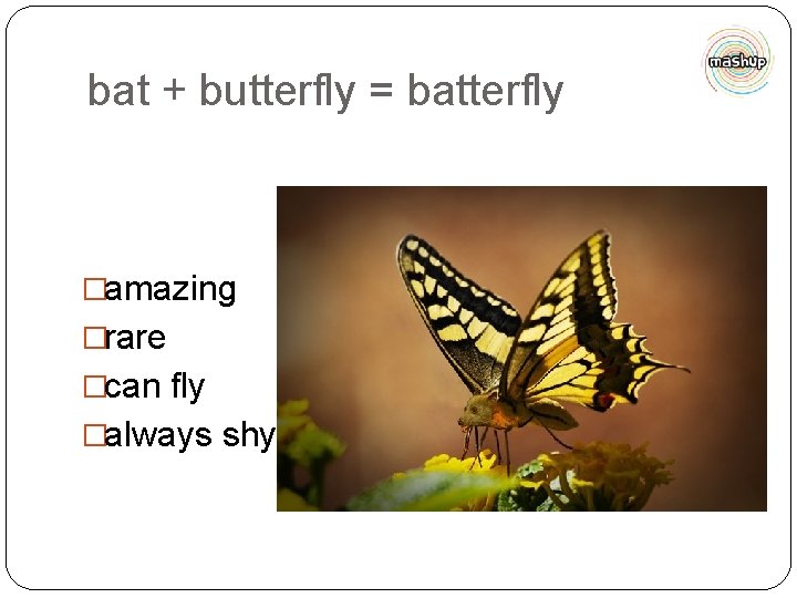 bat + butterfly = batterfly �amazing �rare �can fly �always shy 