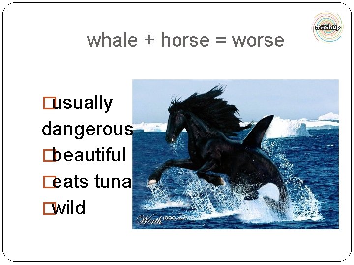 whale + horse = worse �usually dangerous �beautiful �eats tuna �wild 