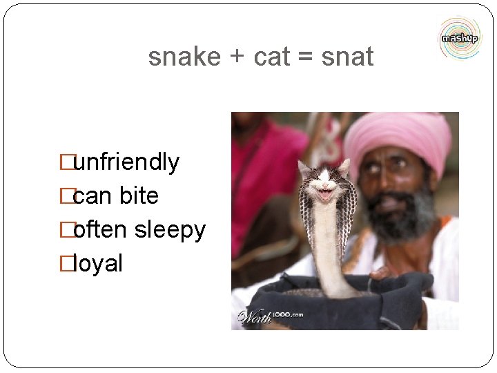 snake + cat = snat �unfriendly �can bite �often sleepy �loyal 