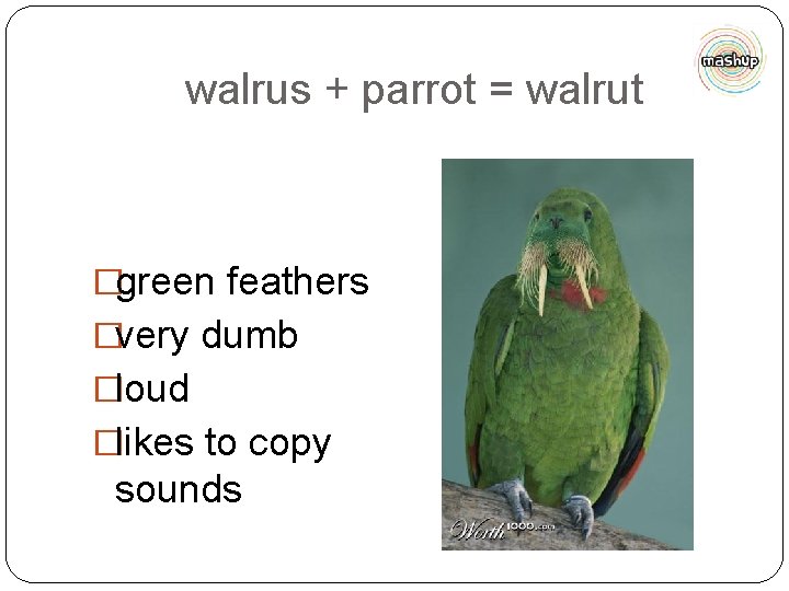 walrus + parrot = walrut �green feathers �very dumb �loud �likes to copy sounds