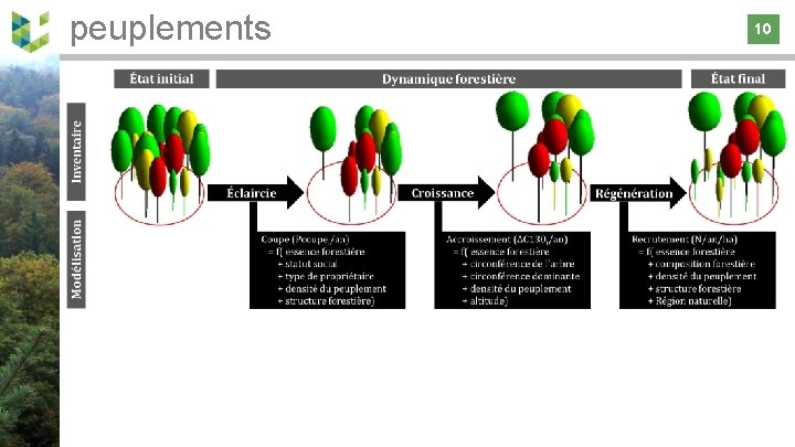 peuplements 10 10 
