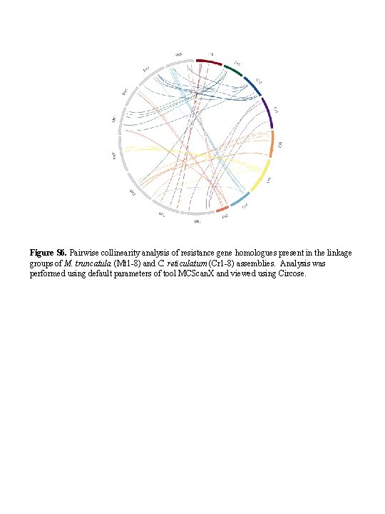 Figure S 6. Pairwise collinearity analysis of resistance gene homologues present in the linkage