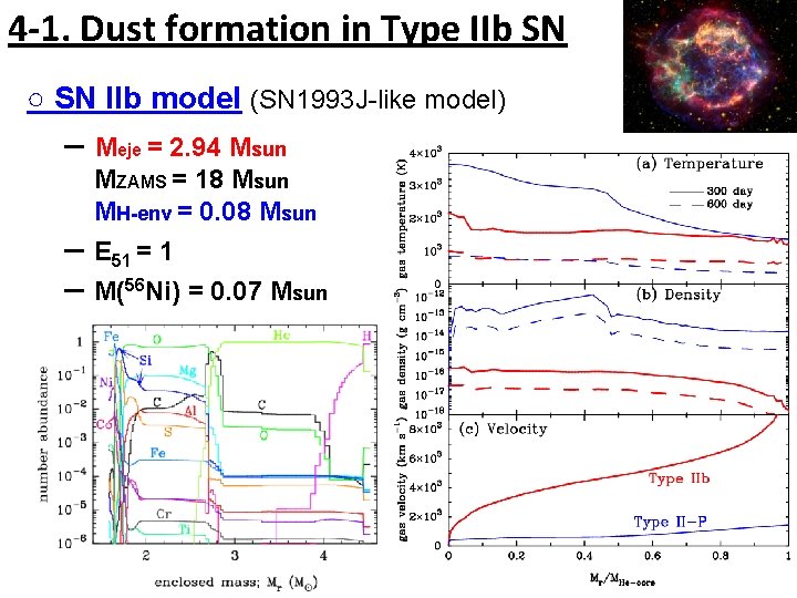 4 -1. Dust formation in Type IIb SN ○ SN IIb model (SN 1993
