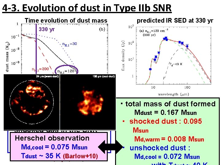 4 -3. Evolution of dust in Type IIb SNR Time evolution of dust mass