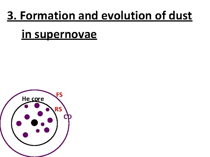 3. Formation and evolution of dust in supernovae He core FS RS CD 