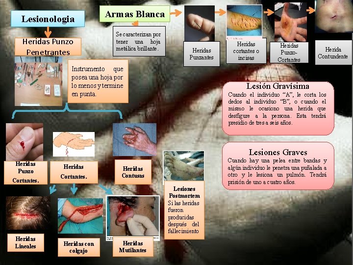 Lesionologia Heridas Punzo Penetrantes Armas Blanca Se caracterizan por tener una hoja metálica brillante. Lesionologia Heridas Punzo Penetrantes Armas Blanca Se caracterizan por tener una hoja metálica brillante.