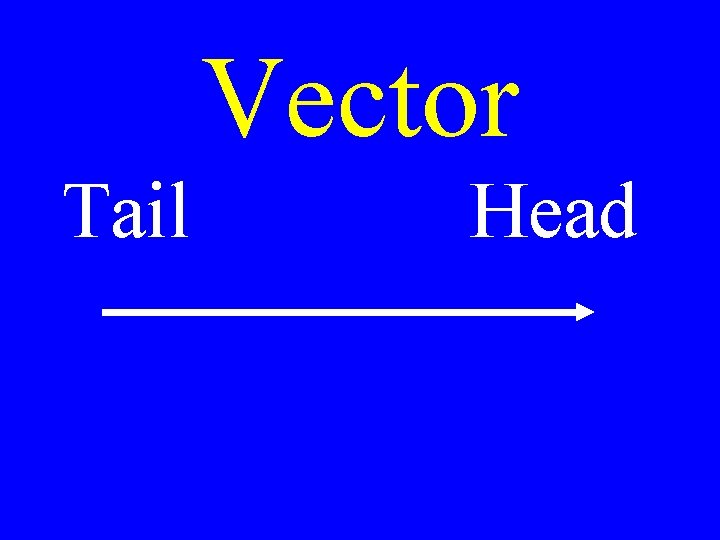 Vector Tail Head 