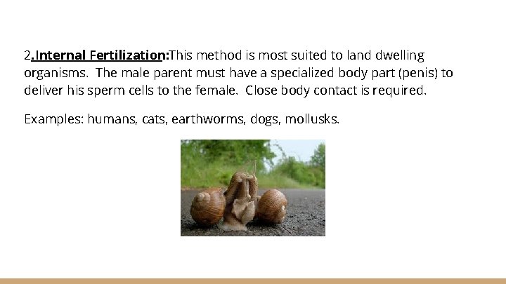 2. Internal Fertilization: This method is most suited to land dwelling organisms. The male