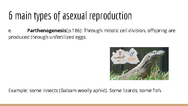 6 main types of asexual reproduction e. Parthenogenesis(p. 186): Through mitotic cell division, offspring
