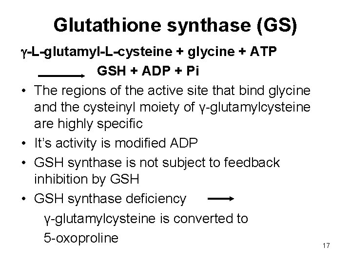 Glutathione synthase (GS) -L-glutamyl-L-cysteine + glycine + ATP GSH + ADP + Pi •