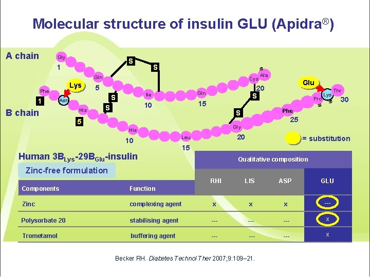 Molecular structure of insulin GLU (Apidra®) A chain Gly S 1 S Gln Lys