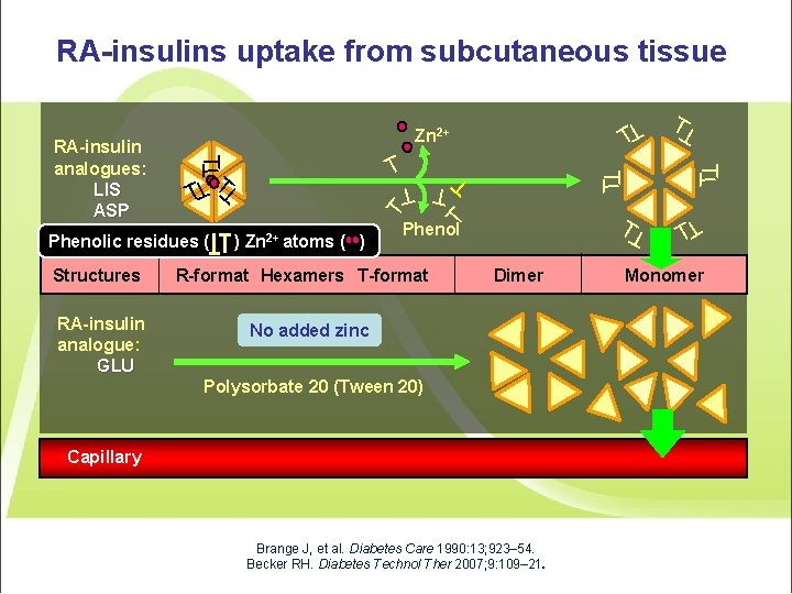 RA-insulins uptake from subcutaneous tissue T T T T R-format Hexamers T-format Dimer No