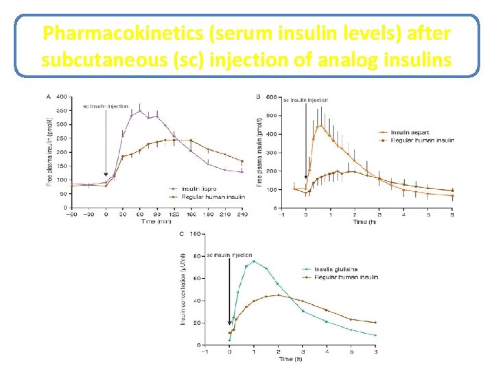 Pharmacokinetics (serum insulin levels) after subcutaneous (sc) injection of analog insulins 