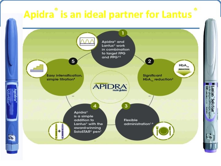 ® Apidra is an ideal partner for Lantus ® 