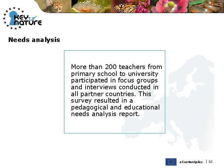 Needs analysis More than 200 teachers from primary school to university participated in focus