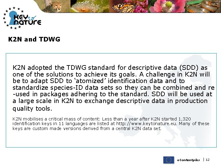 K 2 N and TDWG K 2 N adopted the TDWG standard for descriptive