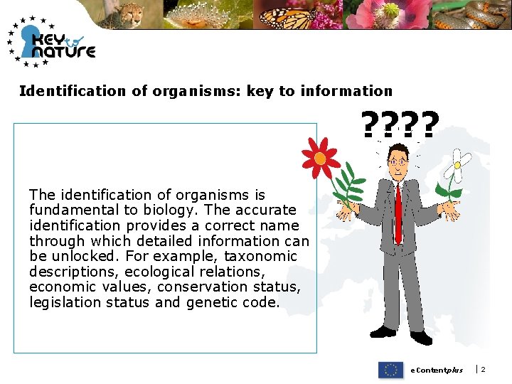 Identification of organisms: key to information ? ? The identification of organisms is fundamental